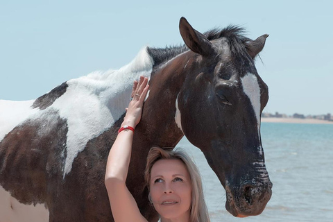 Hurghada: Horse Riding in the Desert & Beach Experience 1 HR Desert Horse Riding Experience without transfer