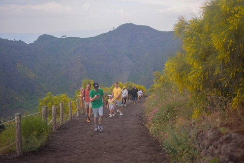 From Naples: Pompeii and Vesuvius Shuttle w/ Priority Ticket From Naples: Pompeii and Vesuvius with Skip the Line Ticket