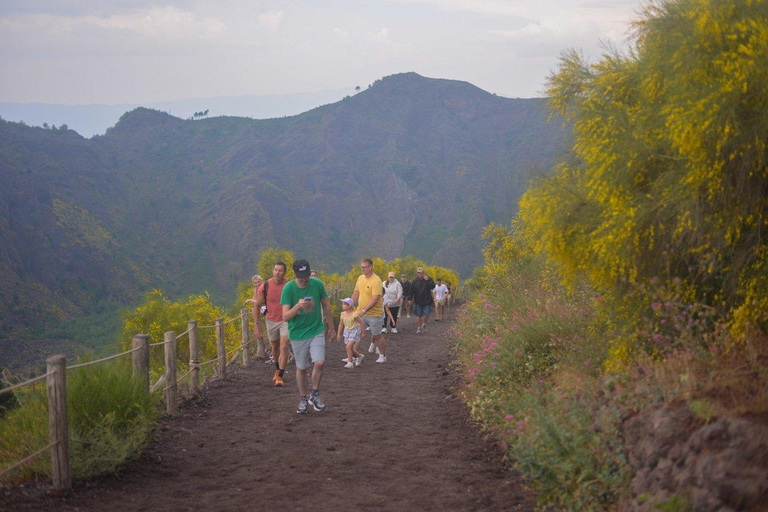 From Naples: Pompeii and Vesuvius Shuttle w/ Priority Ticket From Naples: Pompeii and Vesuvius with Skip the Line Ticket
