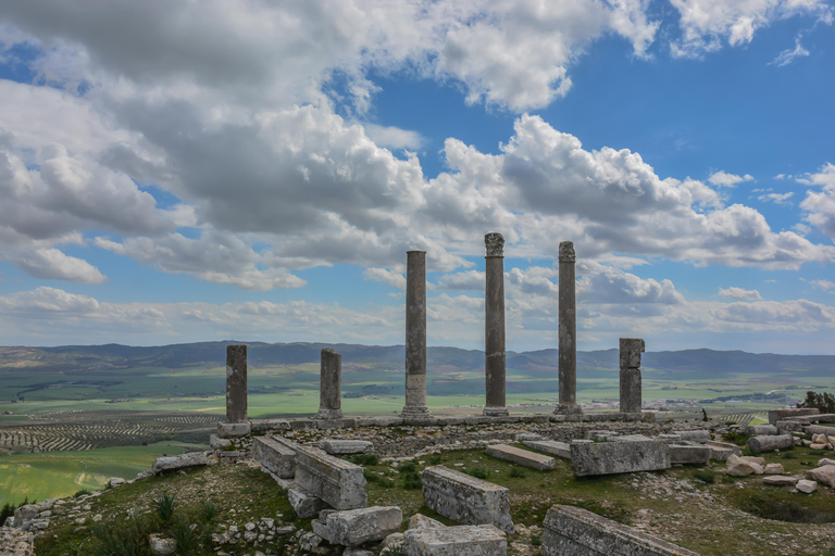 Testour, Dougga i Bulla Regia - prywatna wycieczka 1-dniowa