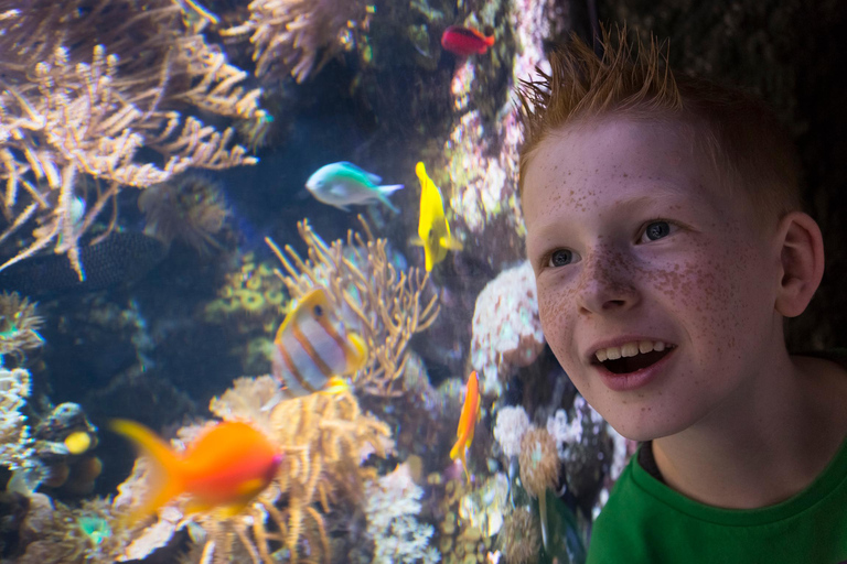 Speyer: SEA LIFE - en rundtur bakom kulisserna