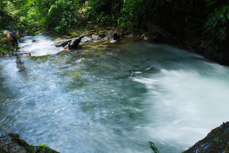 From São Paulo: Oyster Trail and My God Waterfall