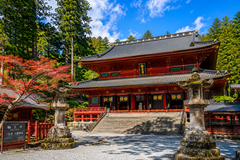 Tokyo: Nikko World Heritage & Nature Private Customized Tour