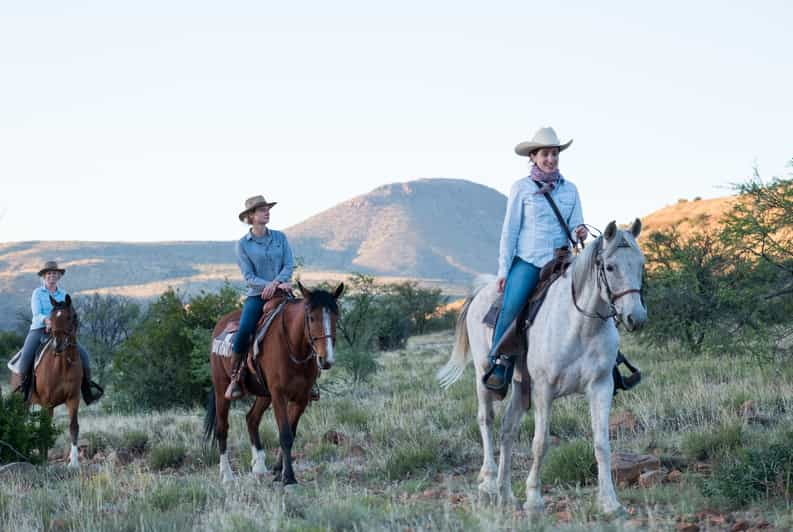 Desde Johannesburgo: Safari y recorrido para el teleférico de los caballos