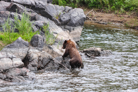 Kremmling: Upper Colorado Half-Day Guided Float Kremmling: Upper Colorado Half-Day Float