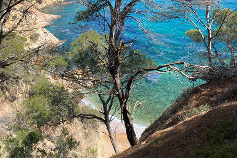 Lloret de Mar: Guided Sightseeing Tour in a 4x4 Vehicle