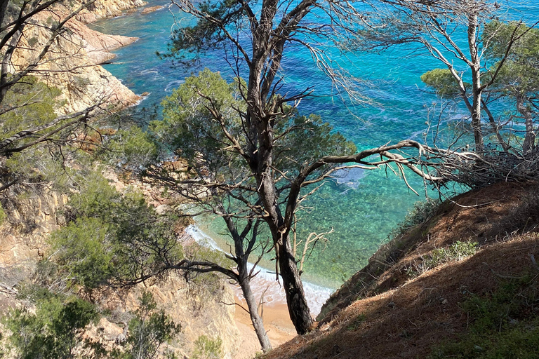 Lloret de Mar: Guided Sightseeing Tour in a 4x4 Vehicle