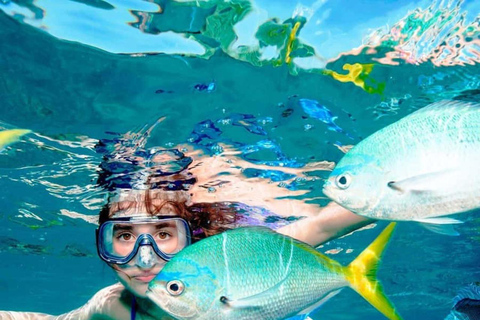 Zanzibar: Nakupenda Sandbank Beach With BBQ Seafood Lunch No Hotel Pick up and drop off transfer