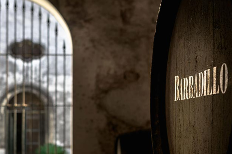 Cádiz: Bodegas Barbadillo Tour & Wine Tasting Cádiz: Bodegas Barbadillo Tour & Wine Tasting in Spanish