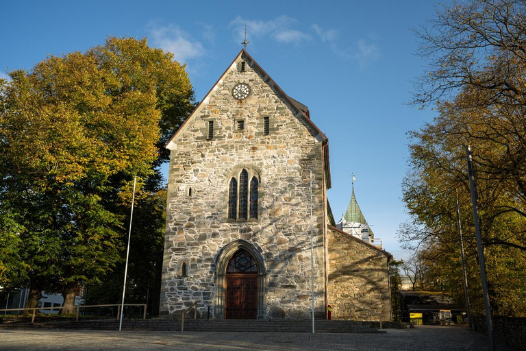 Private Stavanger city Highlights Driving tour