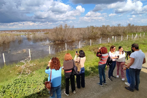 From El Rocío: Doñana National Park 4x4 Tour with Guide