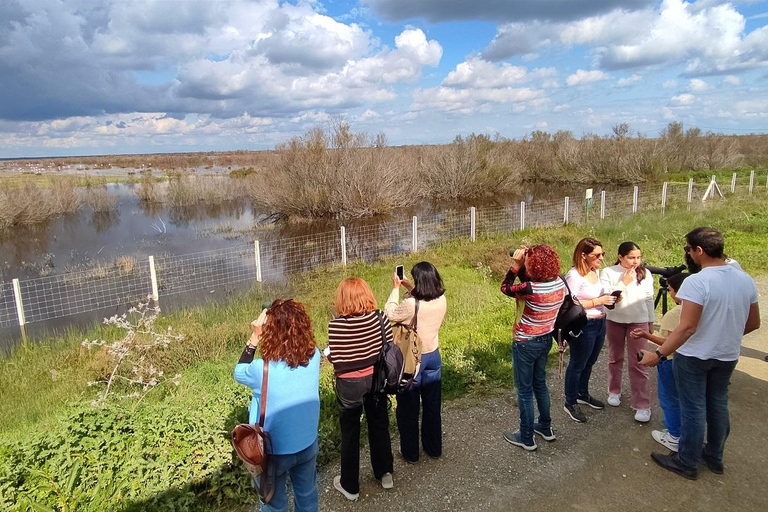 From El Rocío: Doñana National Park 4x4 Tour with Guide