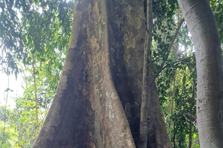 Nong Khiaw: Discover Hmong Village & Muangnoi