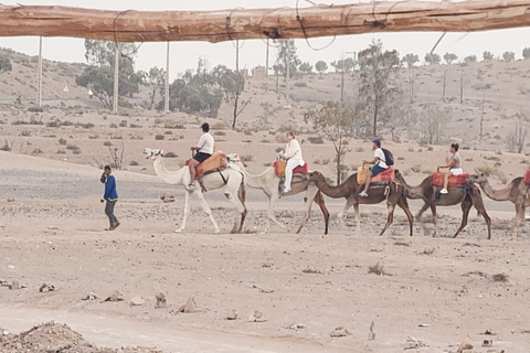 &quot;Agafay-woestijn: Quad rijden, kamelenrit, lunch &amp; zwembad&quot;