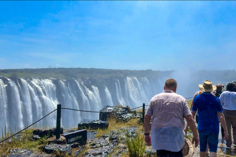 Cataratas Victoria: Tour guiado por las Poderosas Cataratas Victoria