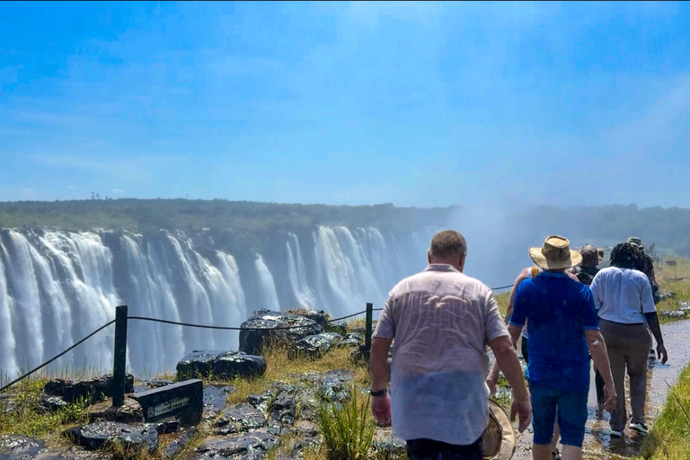 Cataratas Victoria: Tour guiado por las Poderosas Cataratas Victoria