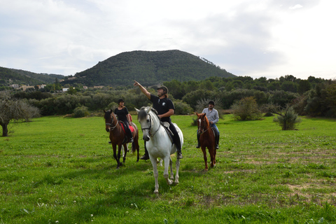 Mallorca : Randa Romantic Sunset Horse Ride With Drinks (en anglais)