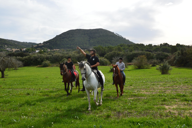 Mallorca: Randa Romántico Paseo a Caballo al Atardecer con Copas