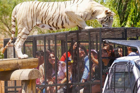 SAFARI PARK-TOUR RANCAGUA : CHILE