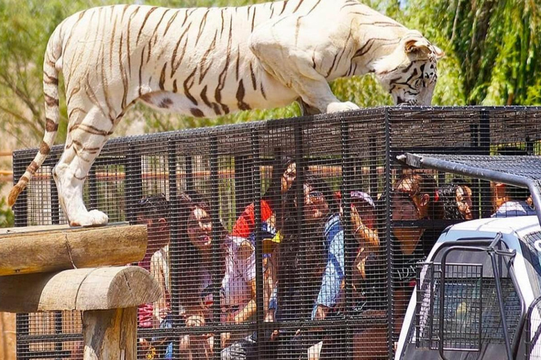 SAFARI PARK-TOUR RANCAGUA : CHILE