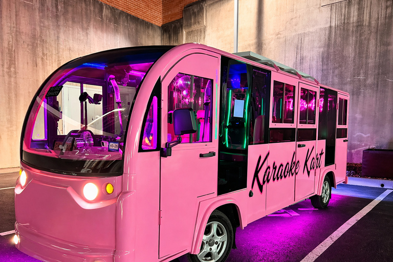 Houston: Karaoke Kart BYOB Tour with Bar Stop