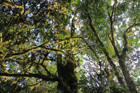 Guided Hike in Greenwoods