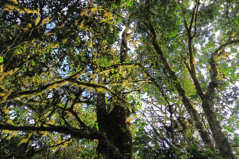 Guided Hike in Greenwoods