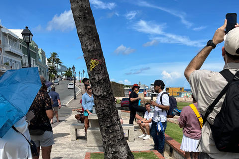 San Juan : une promenade guidée à travers l'histoire (avec guide régional)San Juan : une visite à pied à travers l'histoire - visite privée