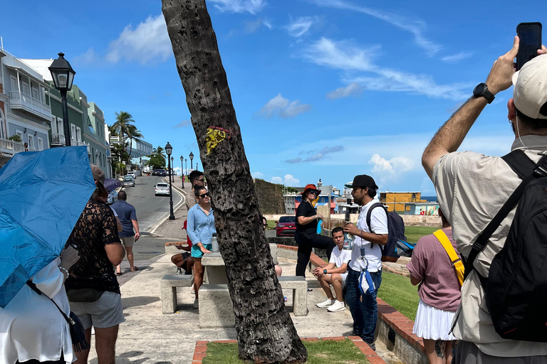 San Juan : une promenade guidée à travers l'histoire (avec guide régional)San Juan : une visite à pied à travers l'histoire - visite privée