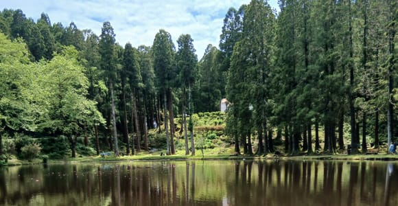 Terceira Island: Half-Day Tour