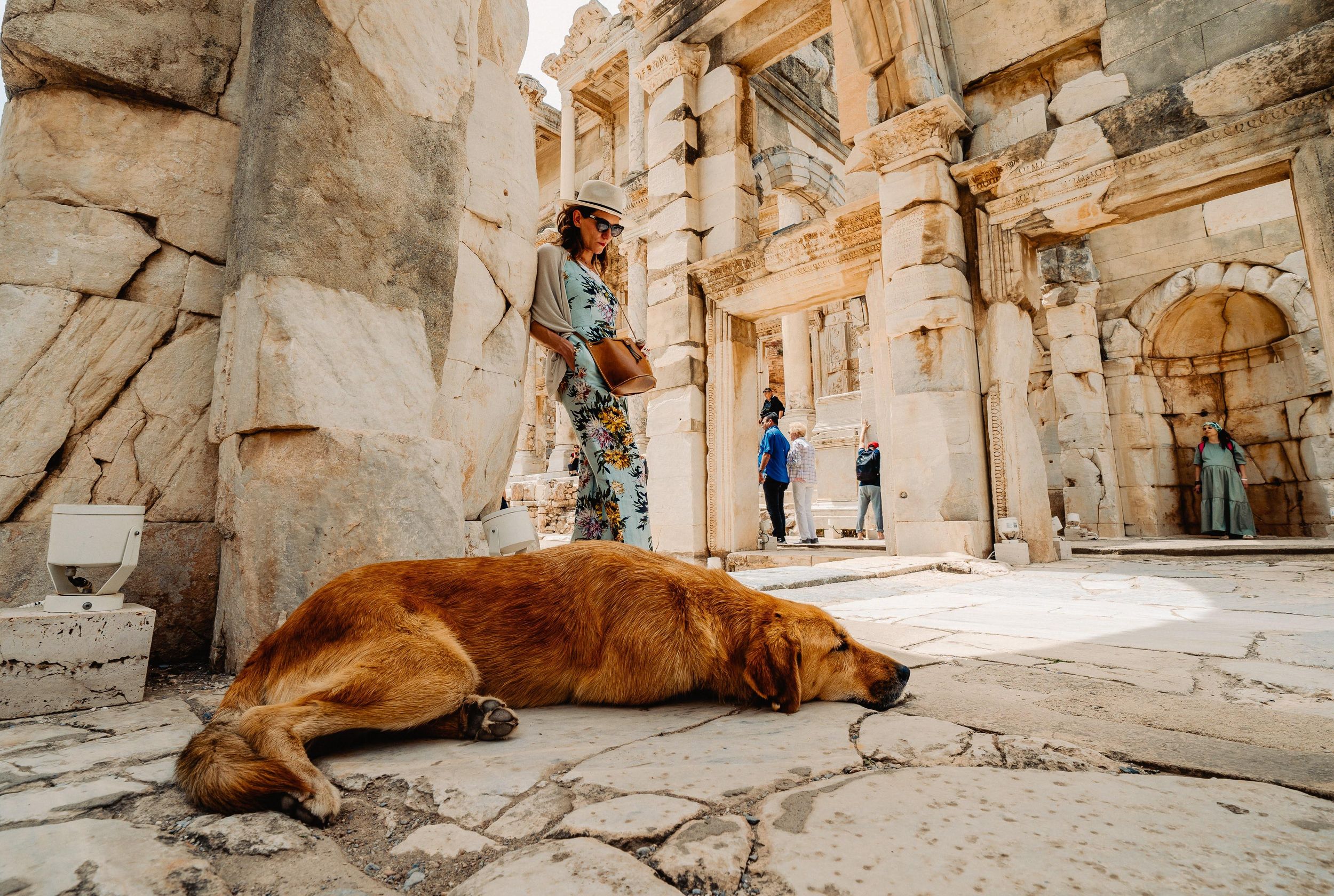 Private Ephesus-Tour für Kreuzfahrtgäste: Ohne Anstehen