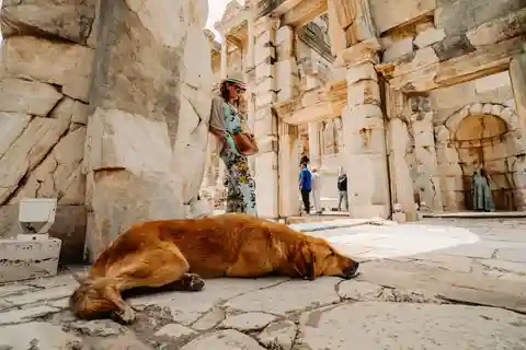 Ephesus Ancient City with Best Guides Only For Cruise Guests