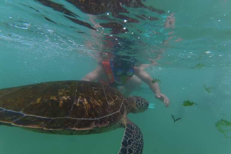 SH Snorkeling Club Mirissa