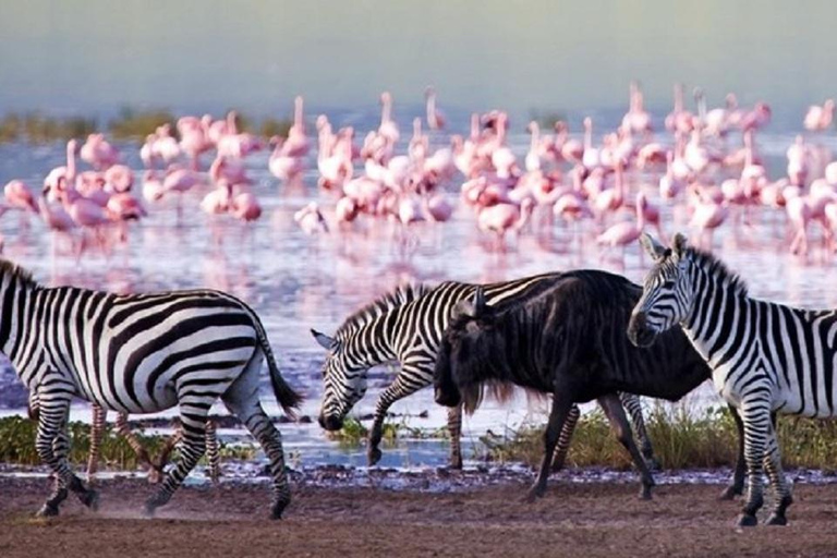 Parque Nacional do Lago Nakuru