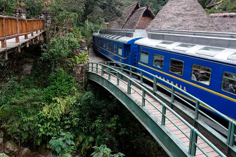 From Cusco: Machu Picchu Day Trip with Vistadome Train