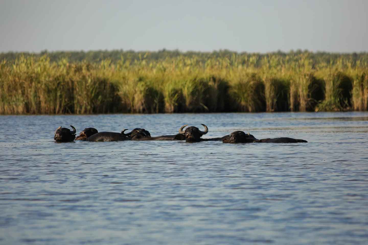 Приключенческий тур в Грузию из Кутаиси