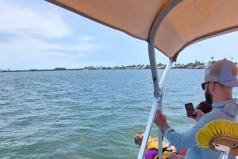 Cocoa Beach: Dolphin & Manatee Small Group Eco Boat Tour