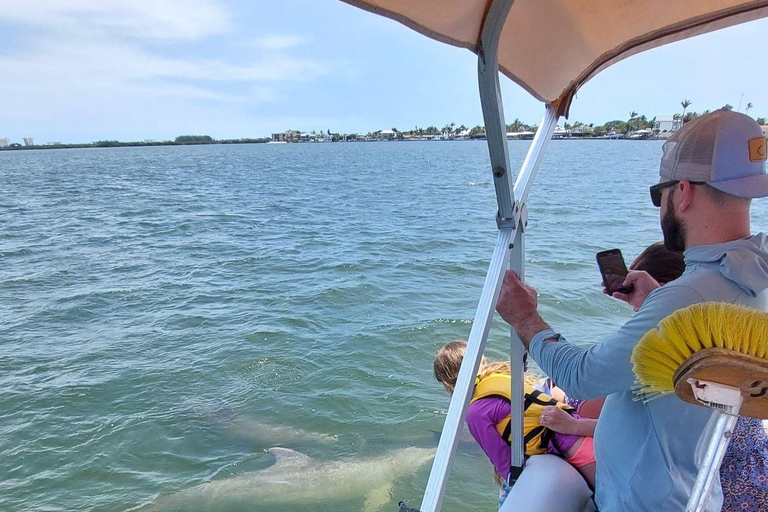 Cocoa Beach: Dolphin & Manatee Small Group Eco Boat Tour