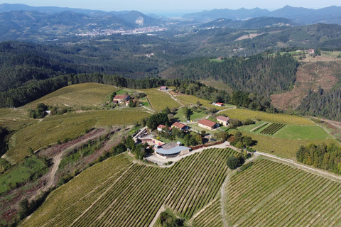 Gernika: Vineyard, Winery Tour, Txakolis & Basque Pairings