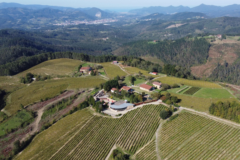 Gernika: Vineyard, Winery Tour, Txakolis & Basque Pairings