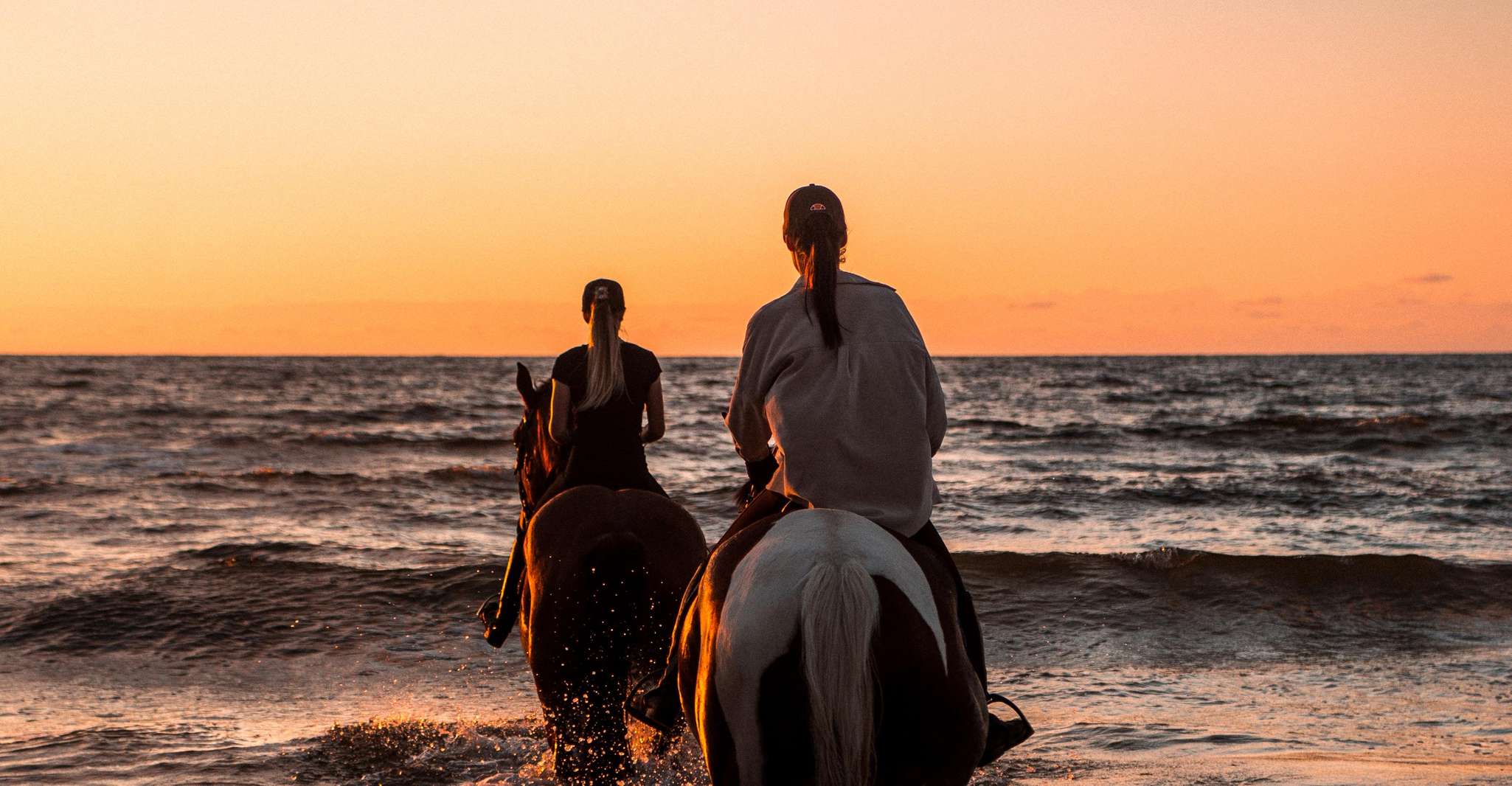 Kos, Horse Riding Experience on the Beach with Instructor - Housity