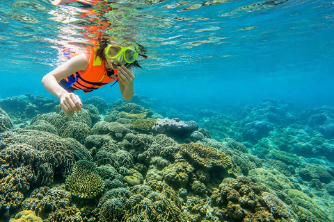 Da Nang/Hoi An: Private Cham Island Tour with Lunch Hoi An PRIVATE Transfers: Cham Island Snorkeling with Lunch