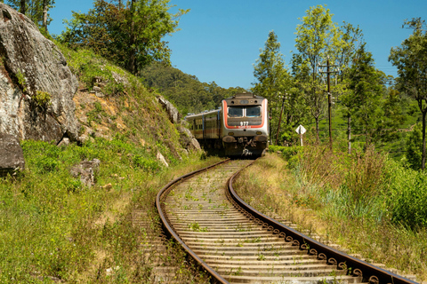 Colombo: Sapphire Mining & Gemological Tour to Hills
