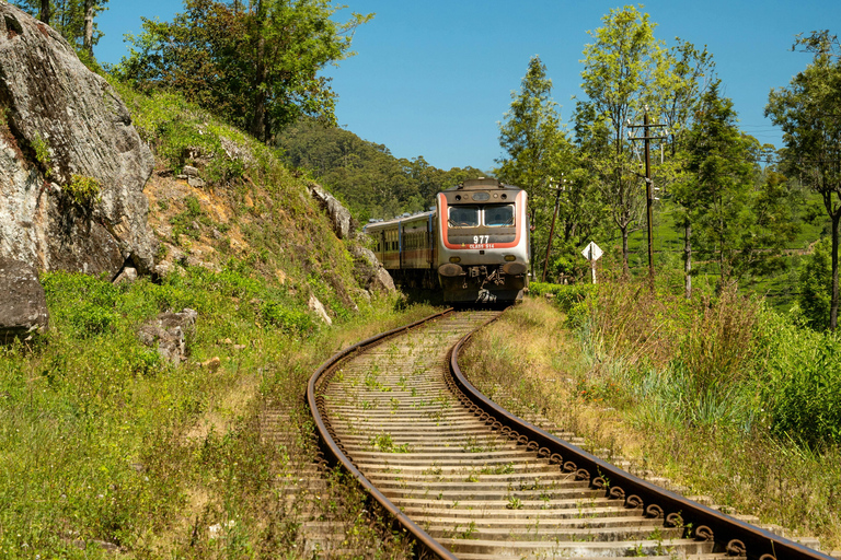 Colombo: Sapphire Mining & Gemological Tour to Hills
