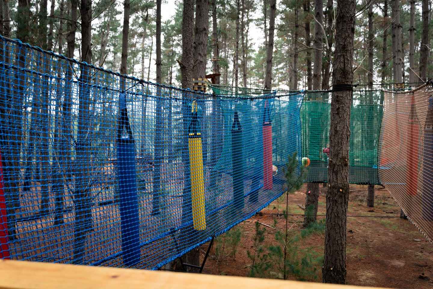 Canberra: Networld Treetop Adventure - Canberra: Networld Treetop Adventure