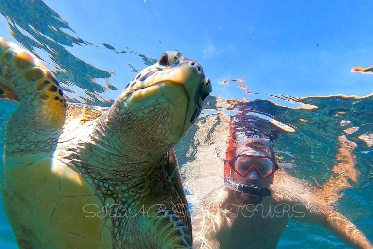 ISLA DE DIMANIYAT Descubre el paraíso del snorkel en MascateRecorrido compartido