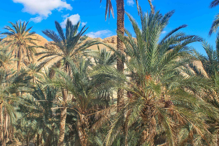In the footsteps of Star Wars in Tunisia: 3-day tour from Djerba