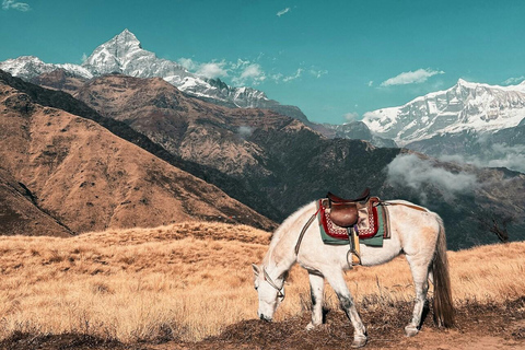 Depuis Pokhara : 3 jours de randonnée sur le sentier du Grand Machhapuchhre (GMT)Pokhara : Magnifique trek de 2 jours à Khumai Danda