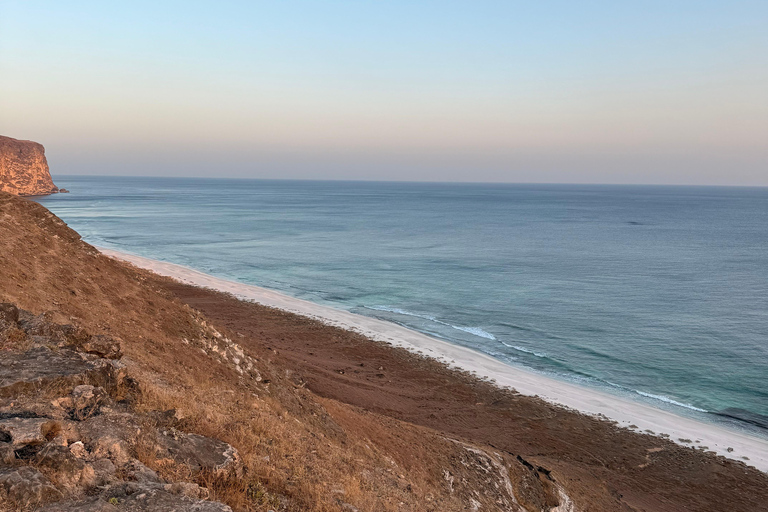 Salalah Local Life Tour: Camels, Coast & Natural Wonders