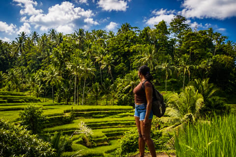 Ubud: Jungle Swing, Rice Terrace & Waterfall Experience